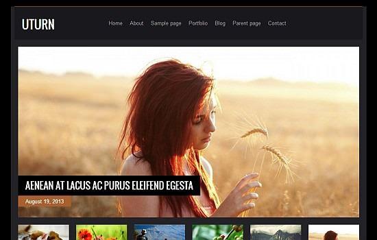 wordpress-ucretsiz-tema-1
