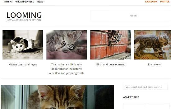 wordpress-ucretsiz-tema-12
