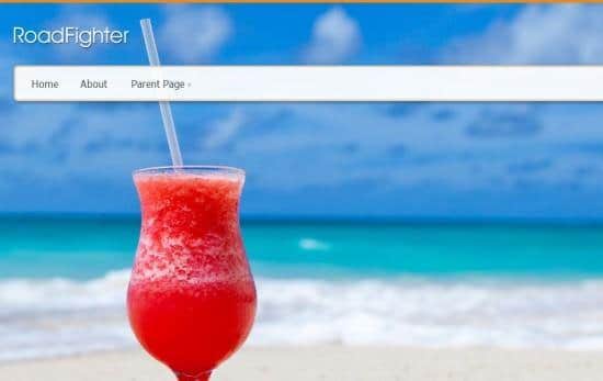 wordpress-ucretsiz-tema-14