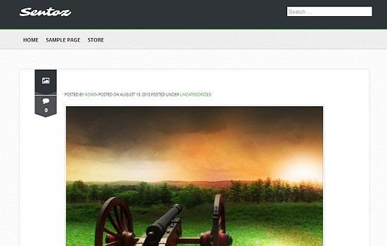 wordpress-ucretsiz-tema-6