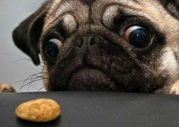 Facebook Zaman Tüneli Kapakları