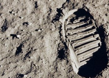 Dünyanın En Gereksiz 24 Bilgisi