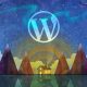 WordPress için Temel ve Gelişmiş Kaynaklar