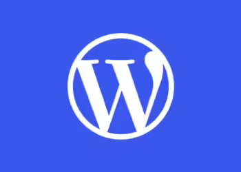 WordPress ile Adım Adım Site Kurma Rehberi 2024